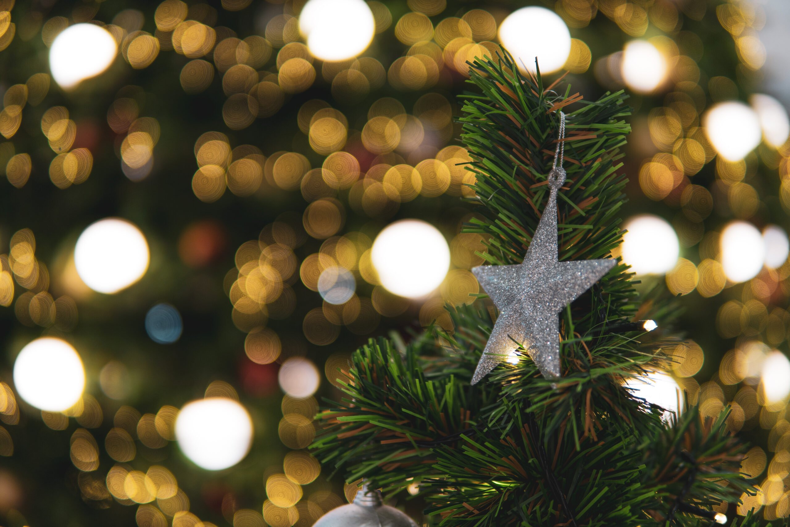 Timbers Jupiter Holiday Christmas